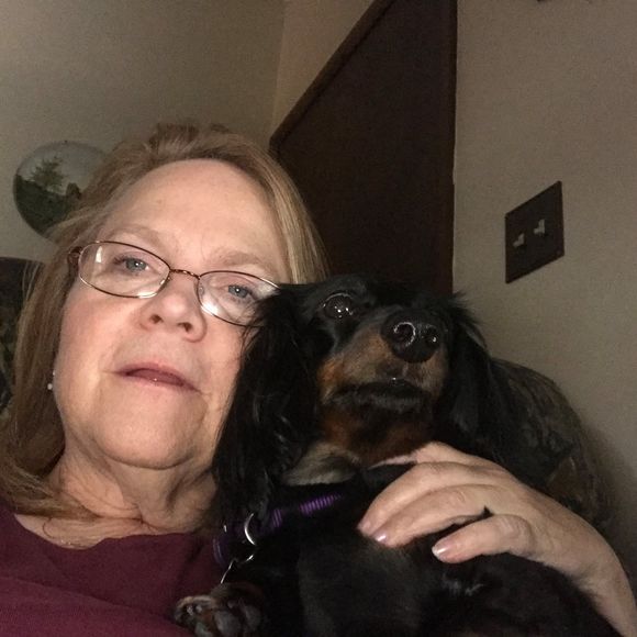 Meet your Posher, Debra - Picture 1 of 1
